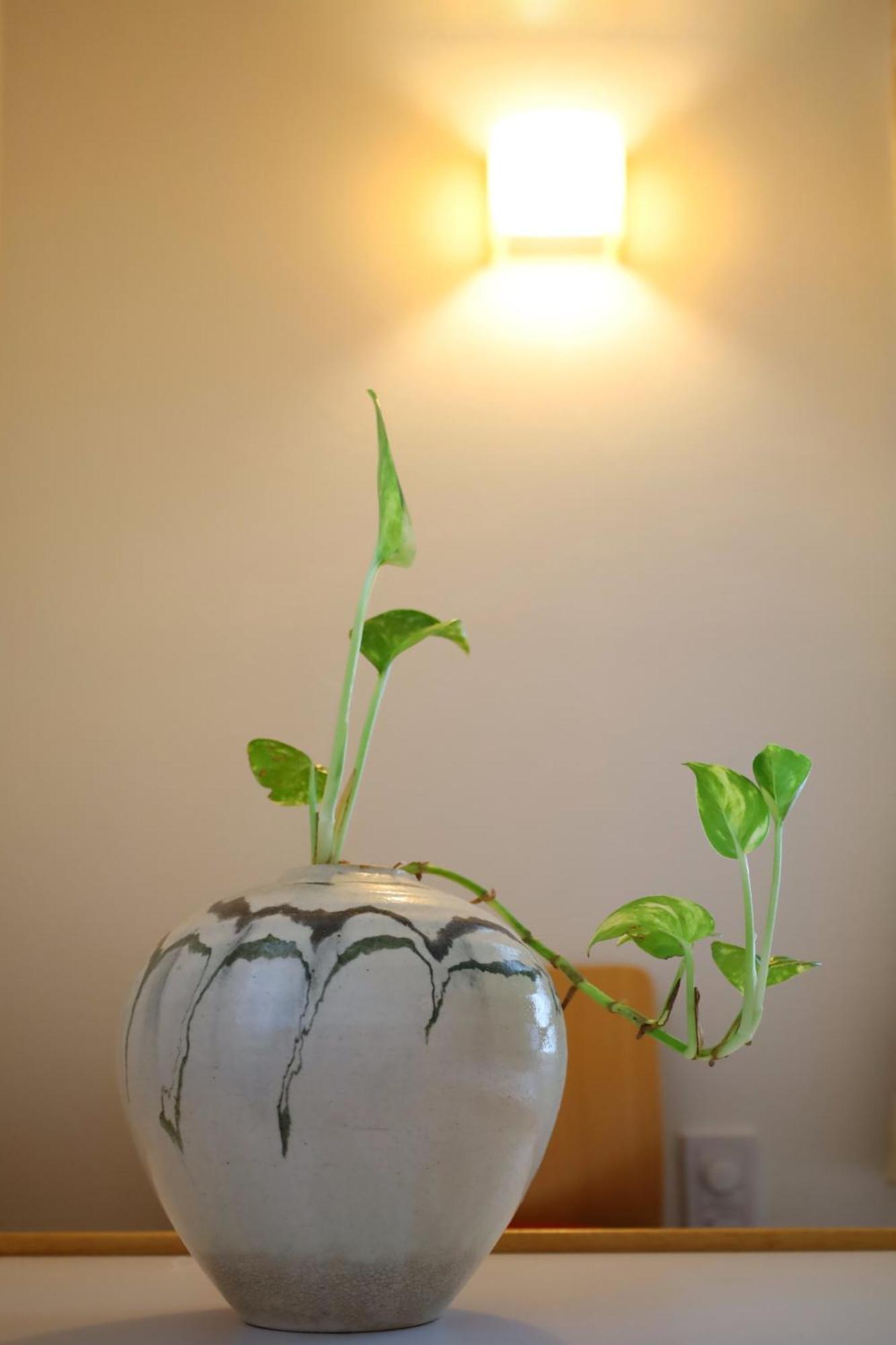 Appartement 尾久新築